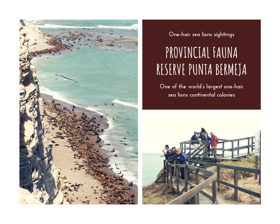 Provincial Fauna Reserve Punta Bermeja